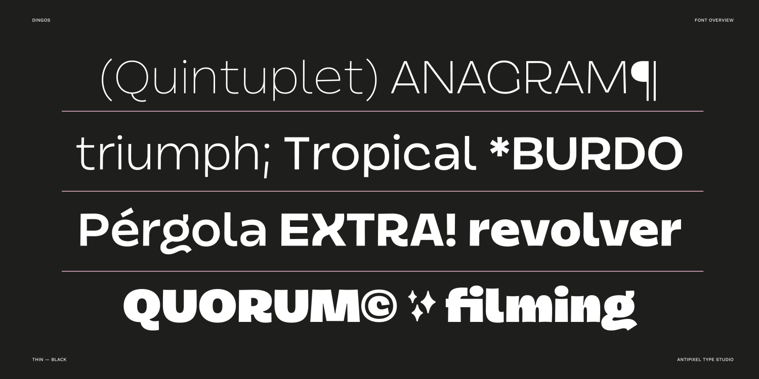 Dingos ExtraLight Font Poster #1