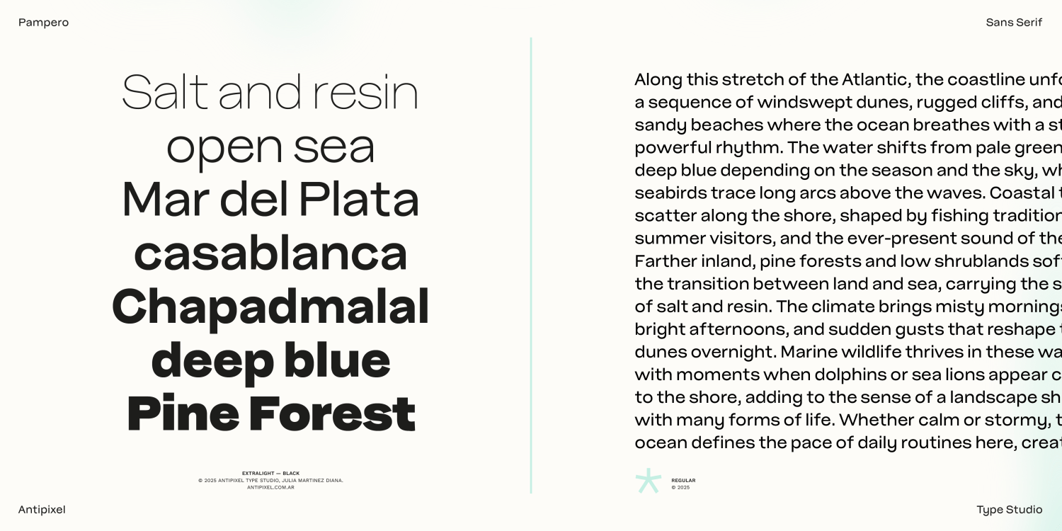 Pampero ExtraLight Font Poster #2