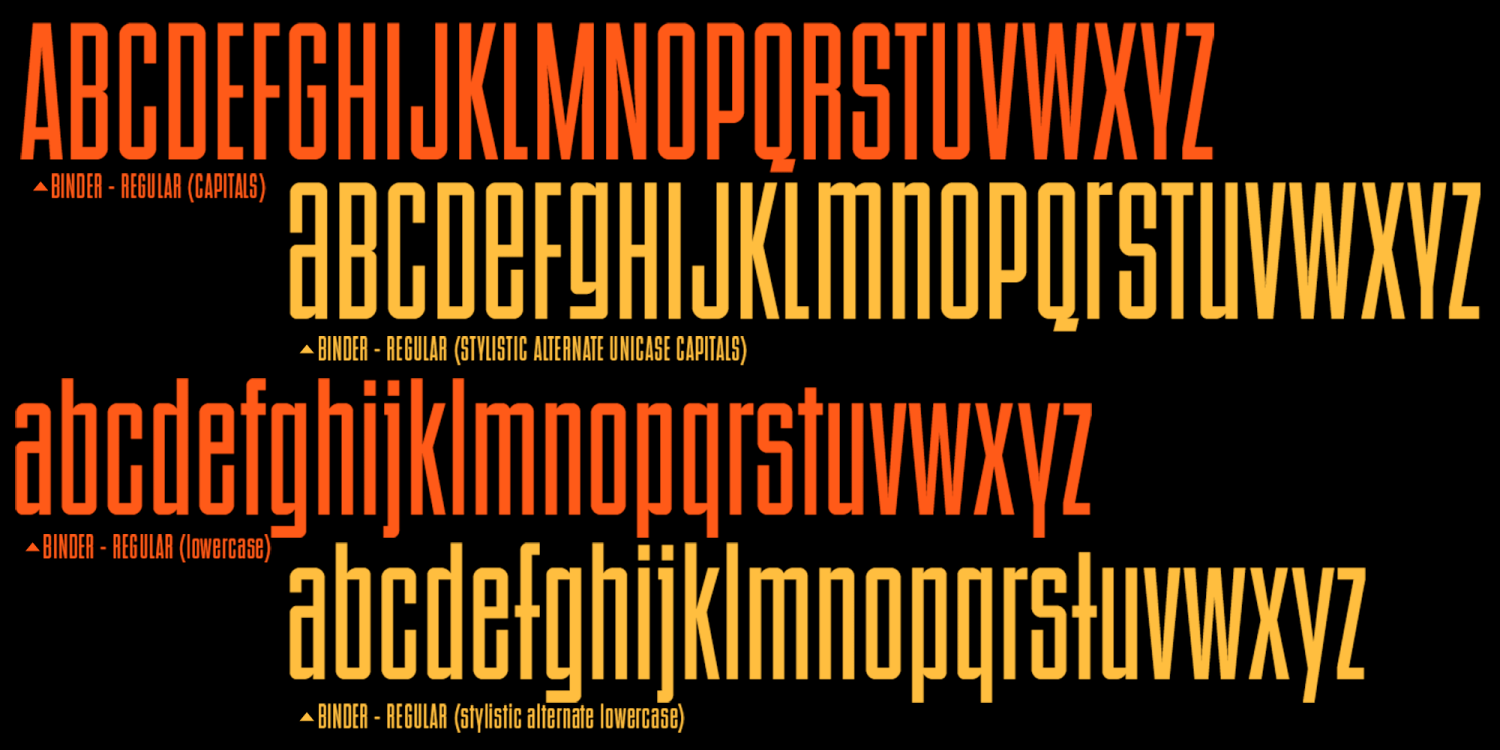 Binder Font Poster #1