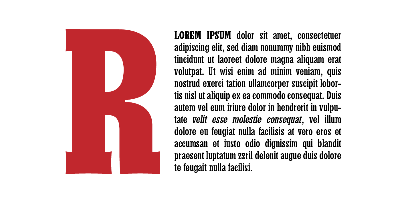 Churchward Conserif Font Poster #4