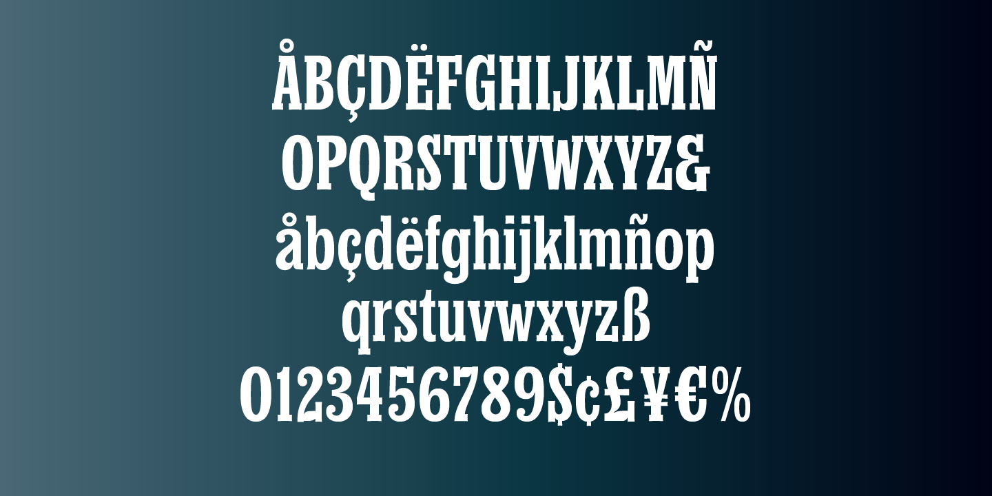 Churchward Conserif Font Poster #5