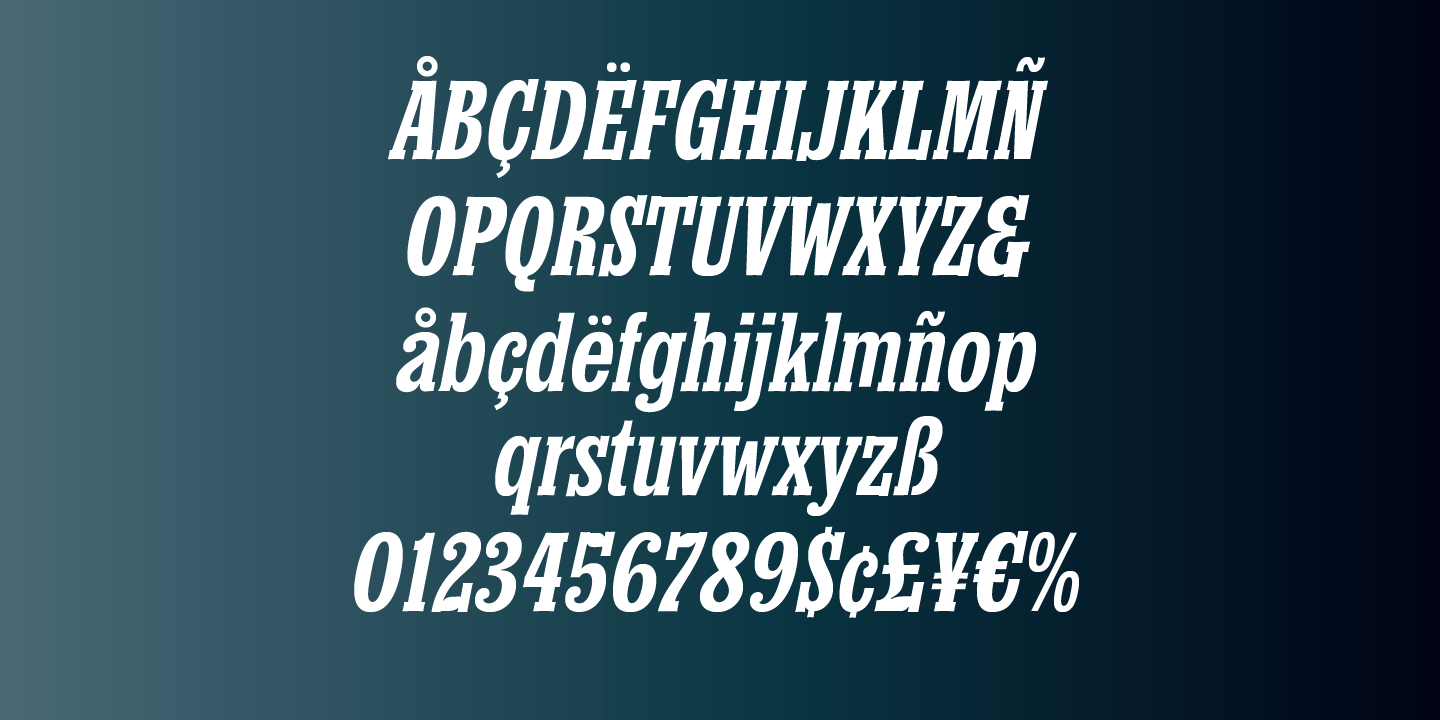 Churchward Conserif Font Poster #6