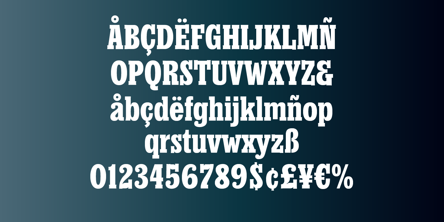 Churchward Conserif Font Poster #7