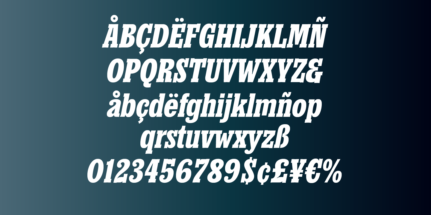 Churchward Conserif Font Poster #8