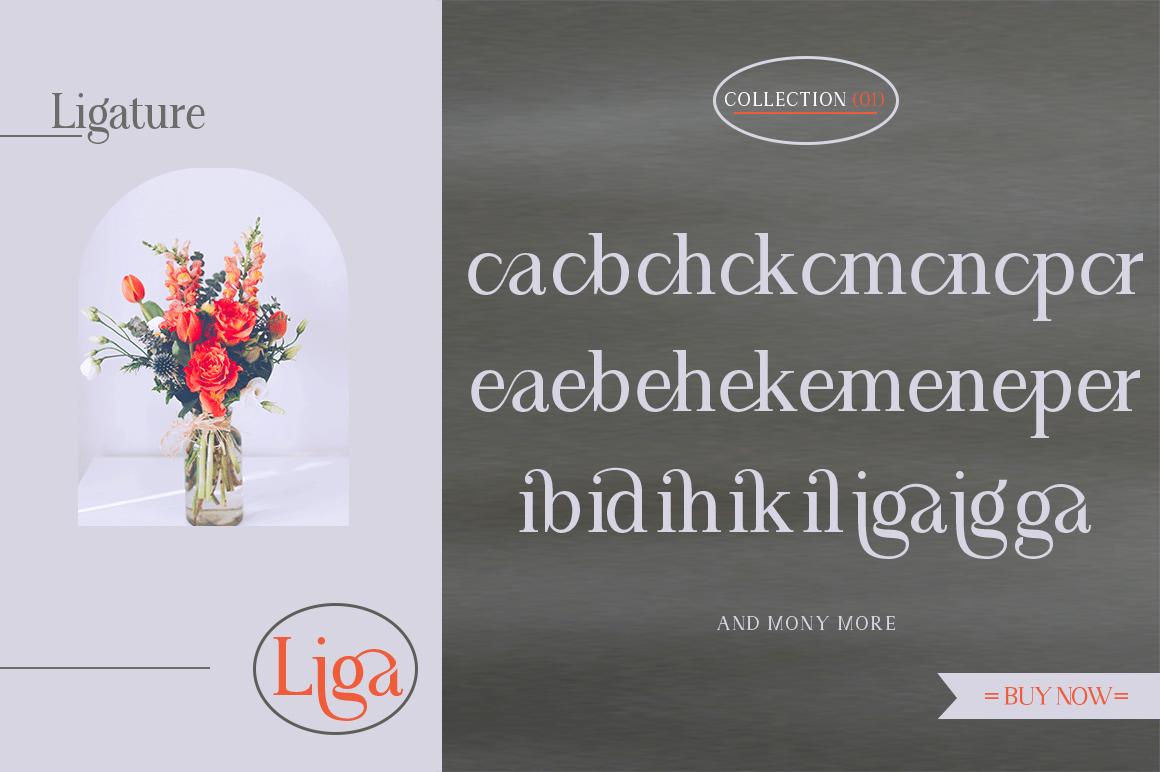 Angilena Font Poster #1