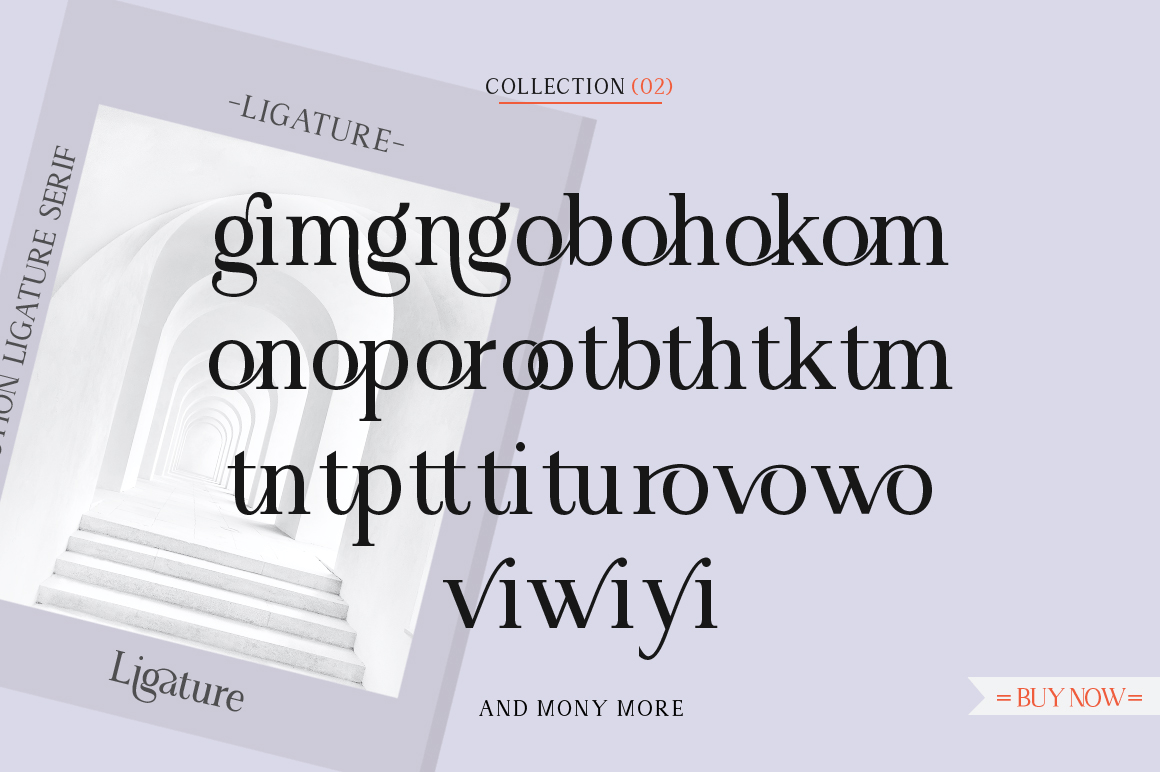 Angilena Font Poster #1