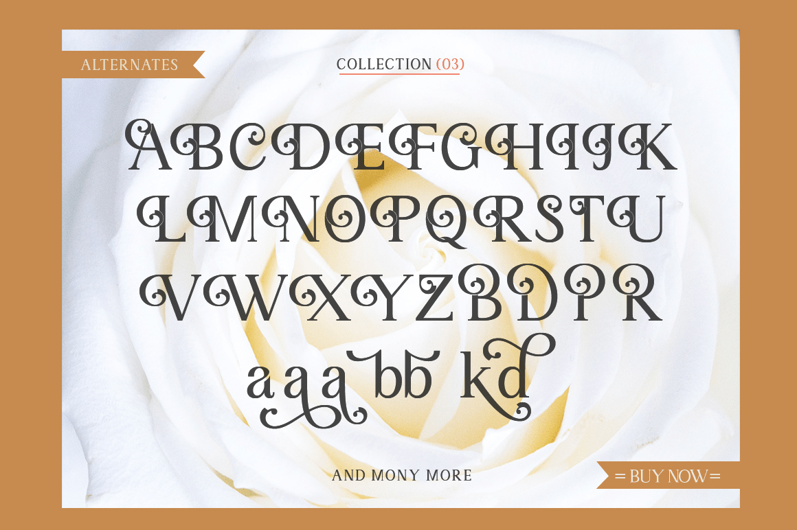 Angilena Font Poster #1
