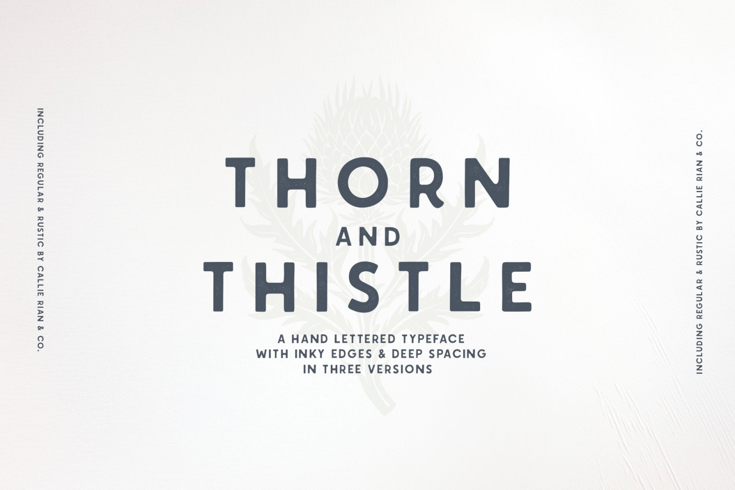 Thorn & Thistle Sans Poster