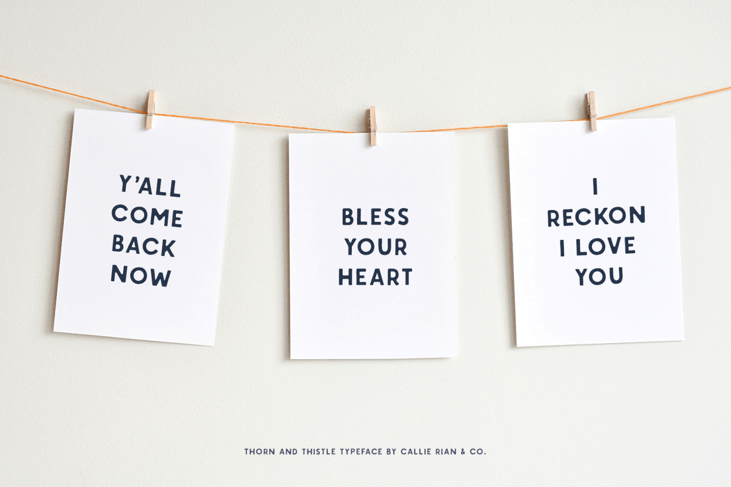 Thorn & Thistle Sans Font Poster #1