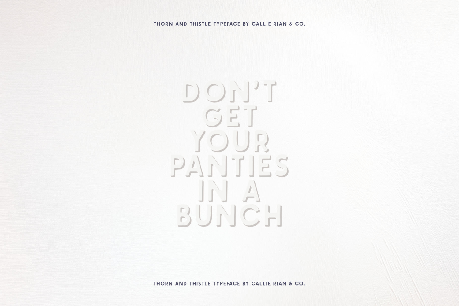 Thorn & Thistle Sans Font Poster #1