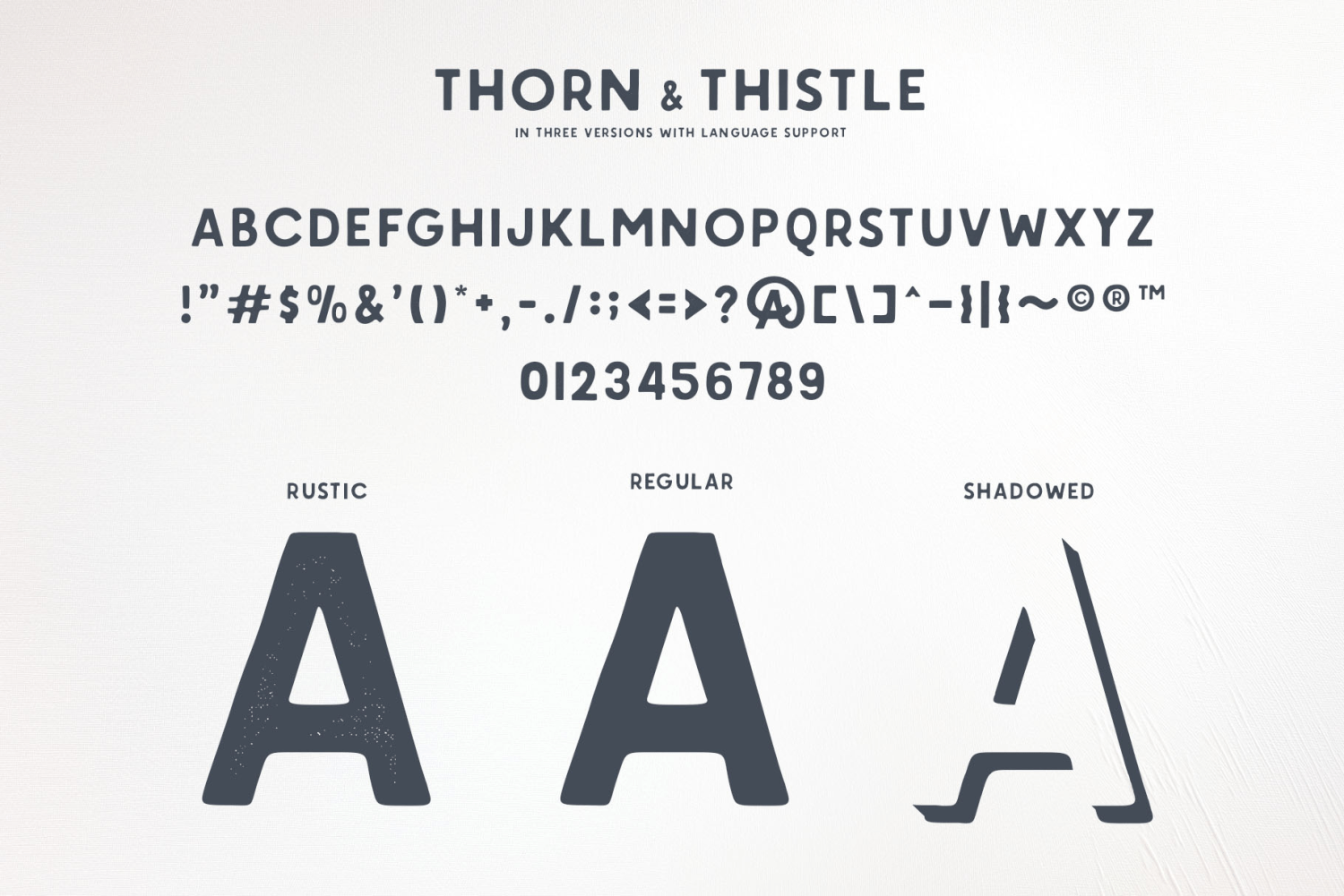 Thorn & Thistle Sans Font Poster #1