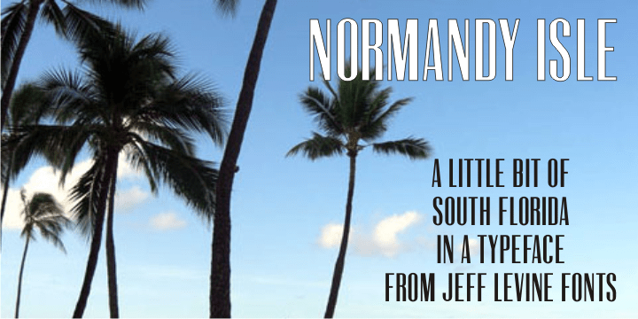 Normandy Isle Font Family Poster