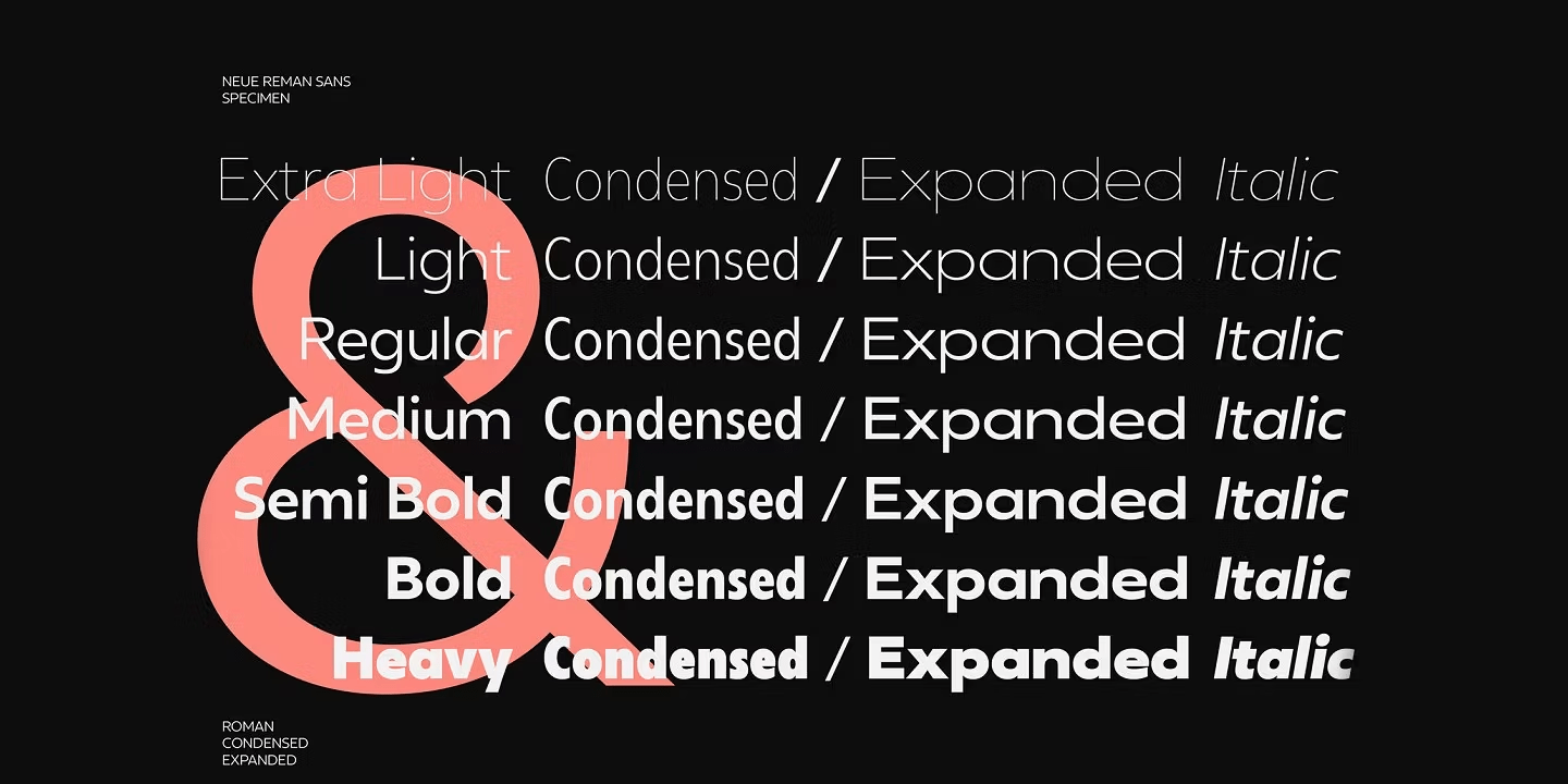 Neue Reman Sans Font Poster #11