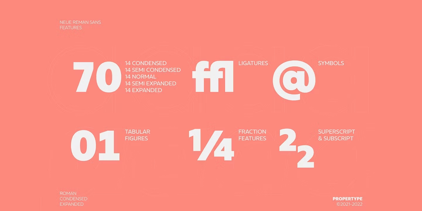 Neue Reman Sans Font Poster #12