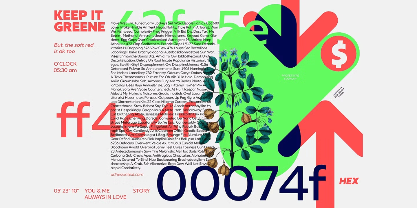 Neue Reman Sans Font Family Poster