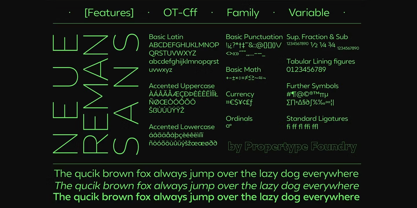 Neue Reman Sans Font Poster #6