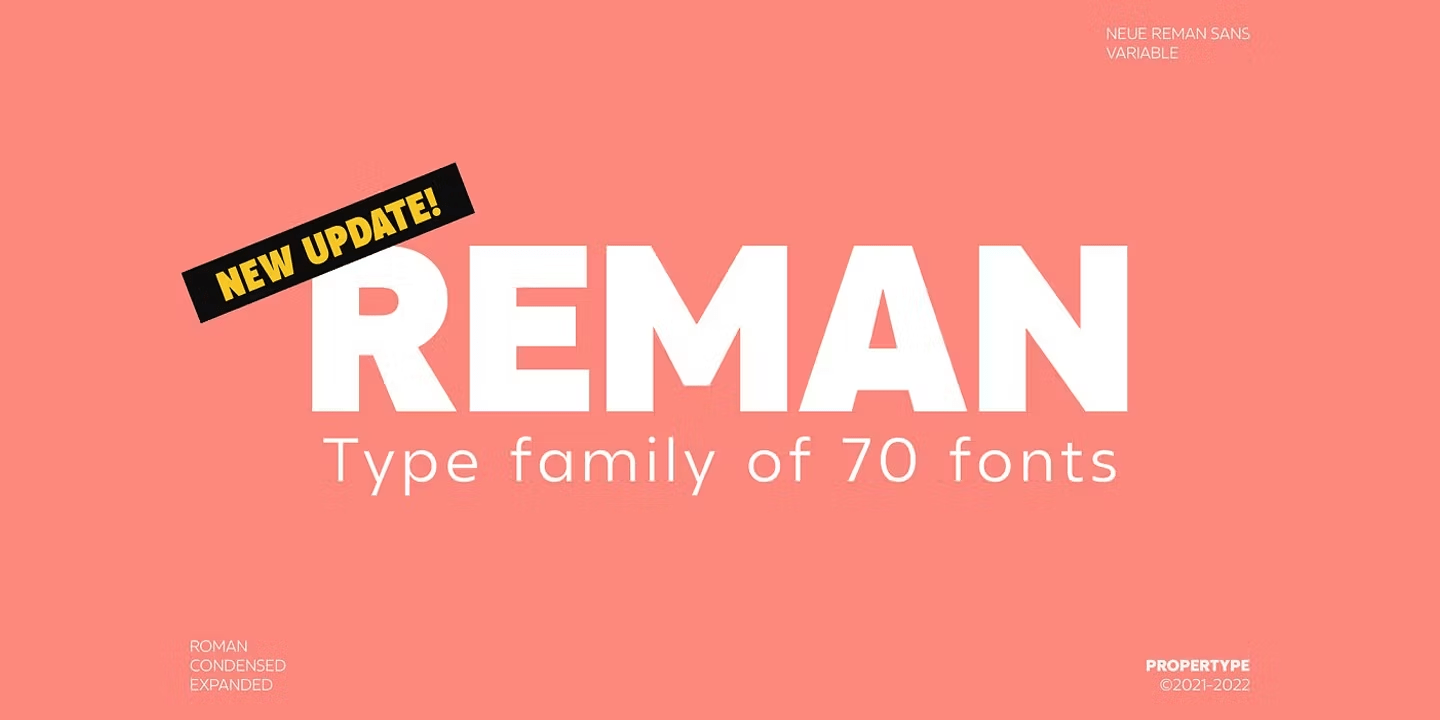 Neue Reman Sans Font Poster #8