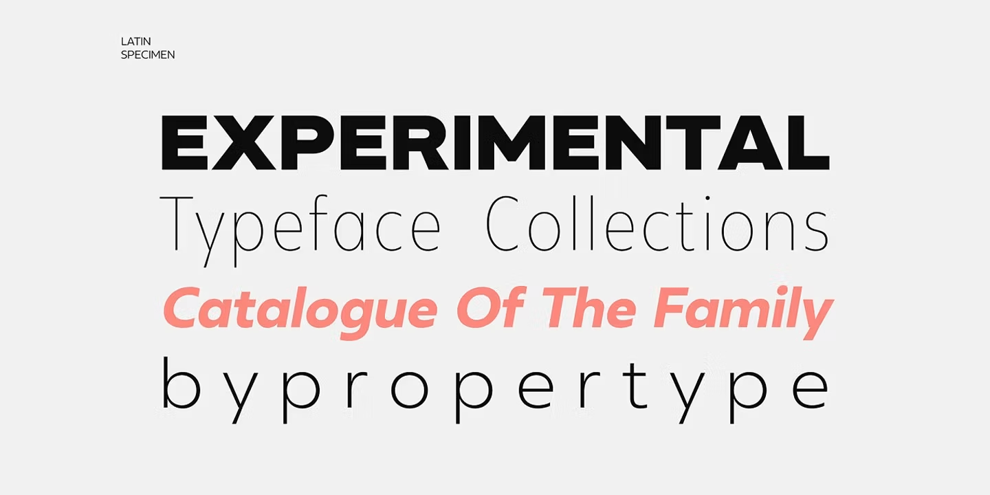 Neue Reman Sans Font Poster #9