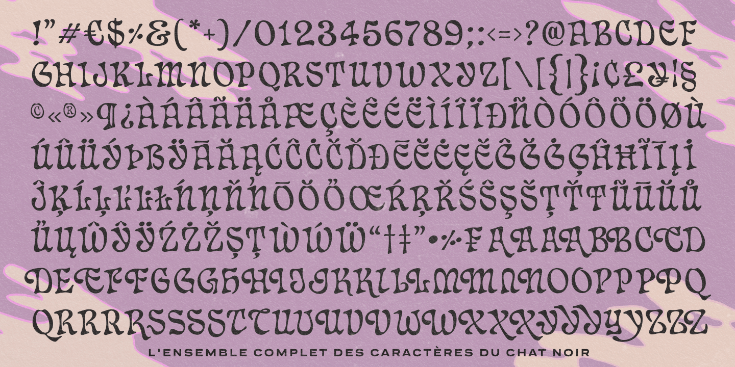 Chat Noir Font Poster #1