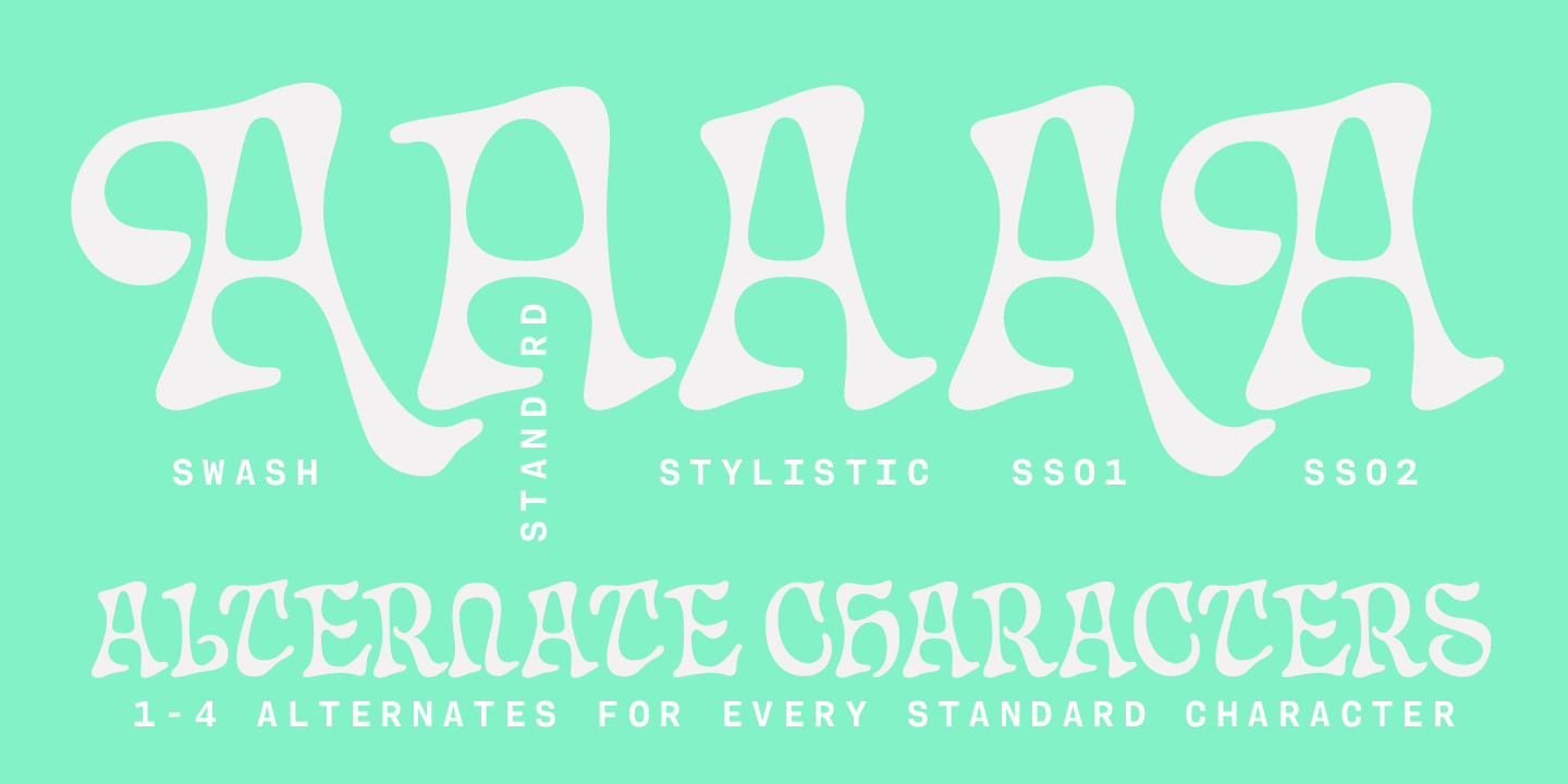 Chat Noir Font Poster #1