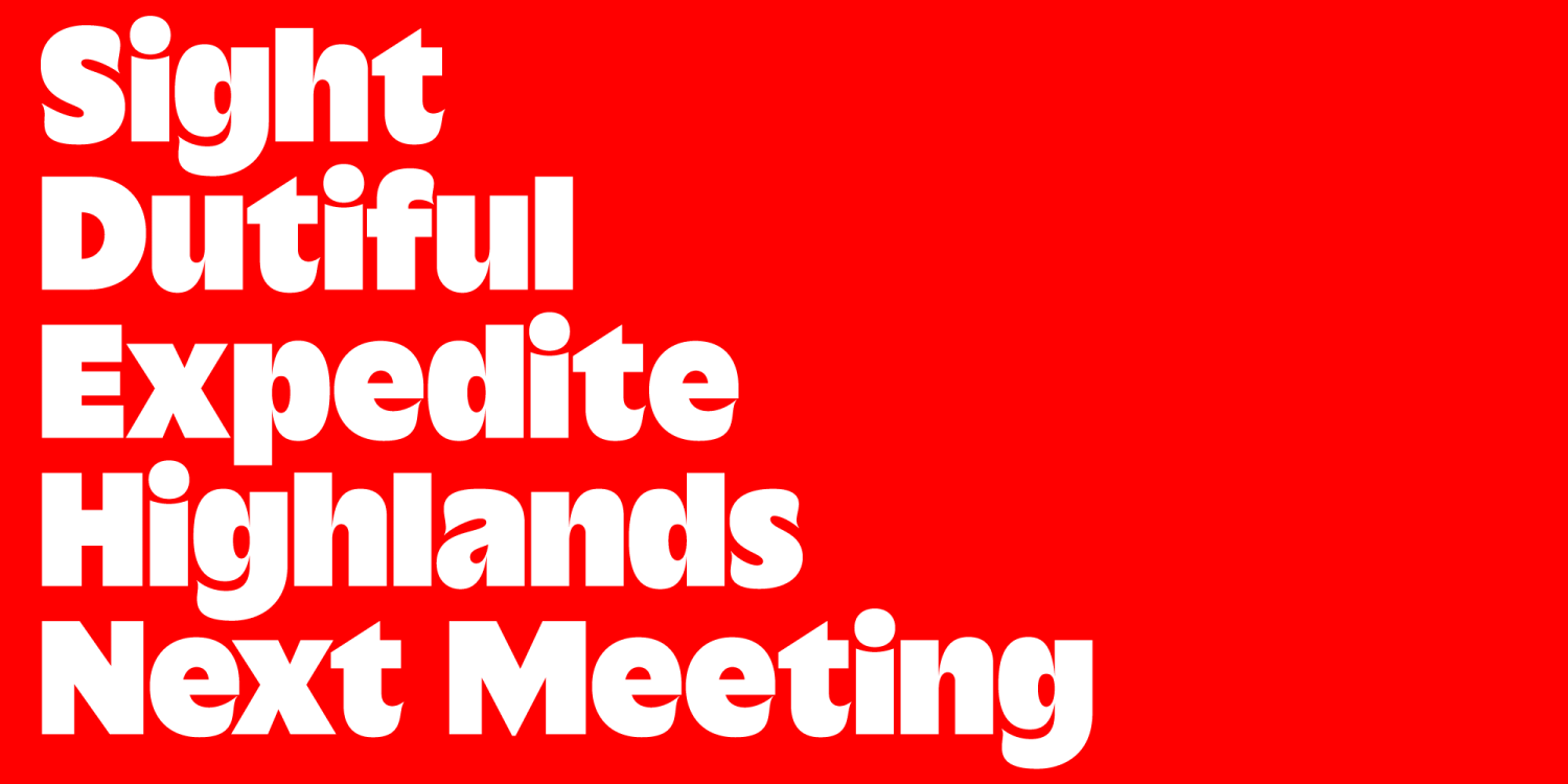Anticua Black Font Poster #1