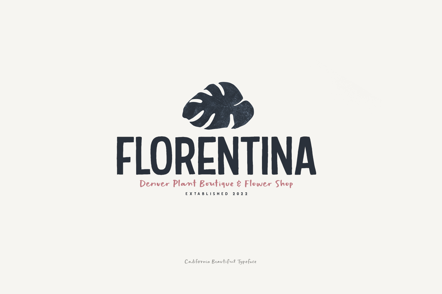 California Beautiful Typeface Font Poster #1