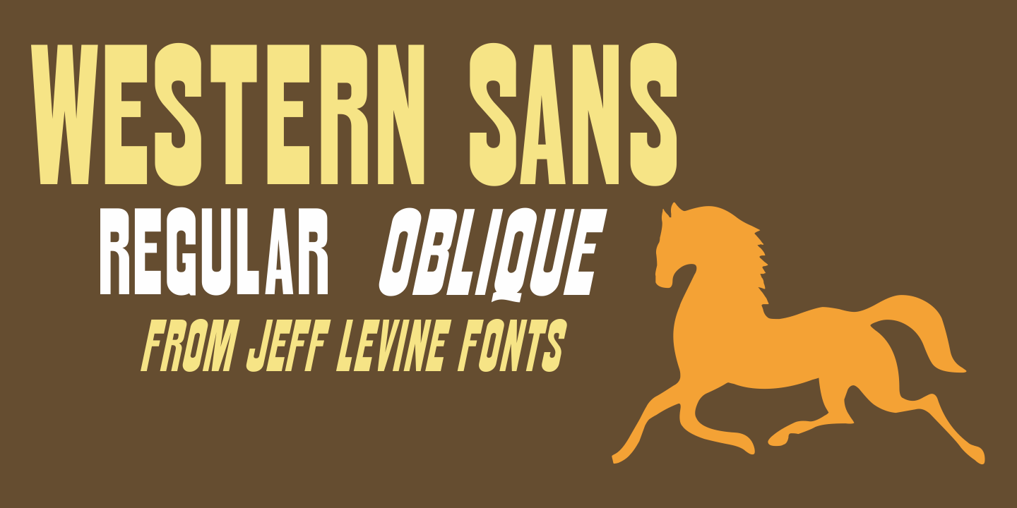 Western Sans Font Family Poster