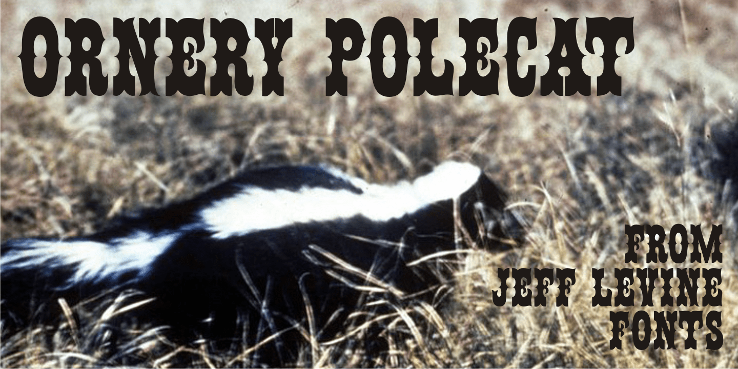 Ornery Polecat Font Family Poster