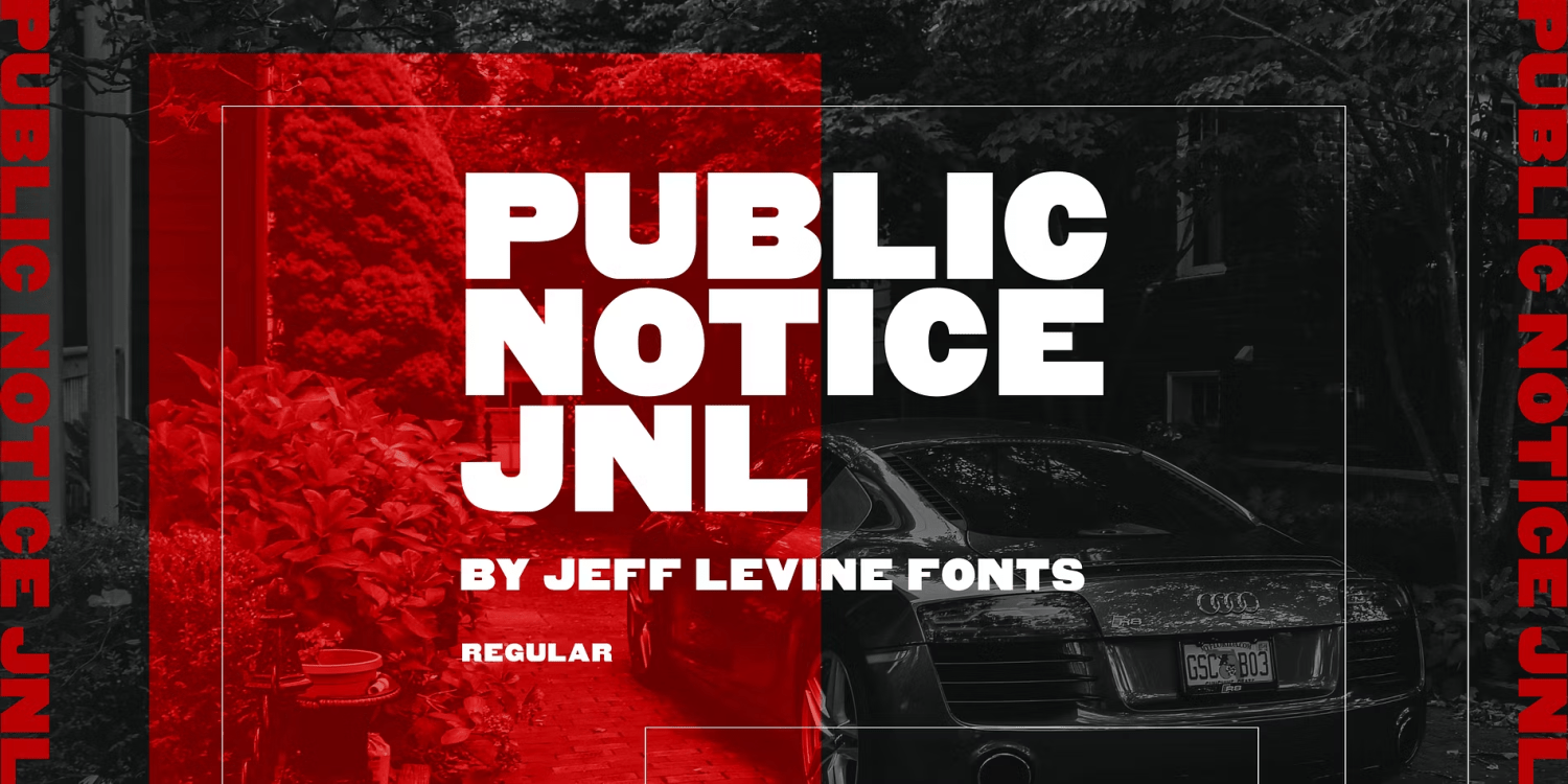 Public Notice Font Poster #1