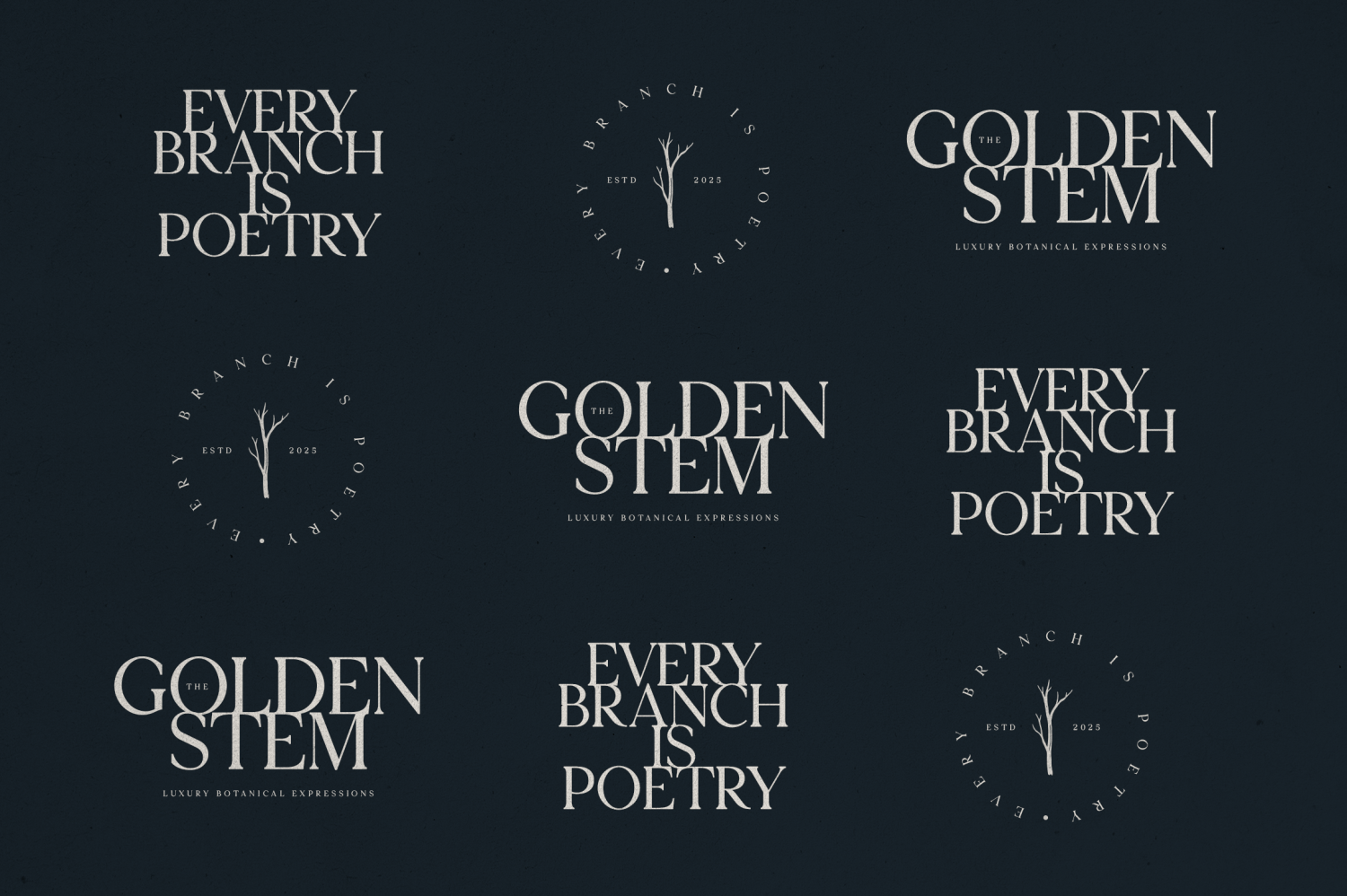 Font Bundle Vol. 05 - 8 Premium Fonts Font Poster #19