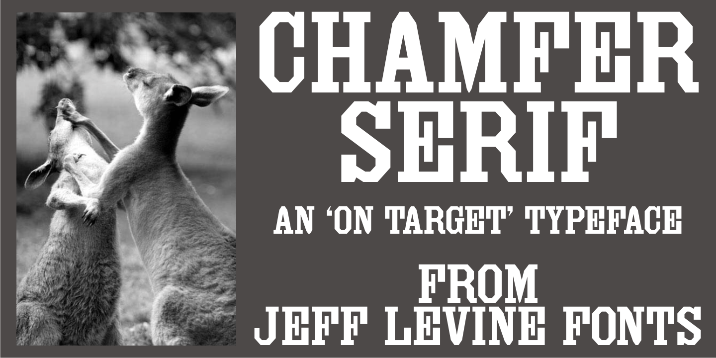 Chamfer Serif Font Family Poster