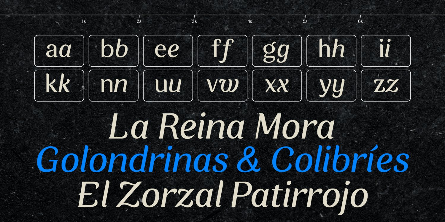Zorzal Font Poster #1
