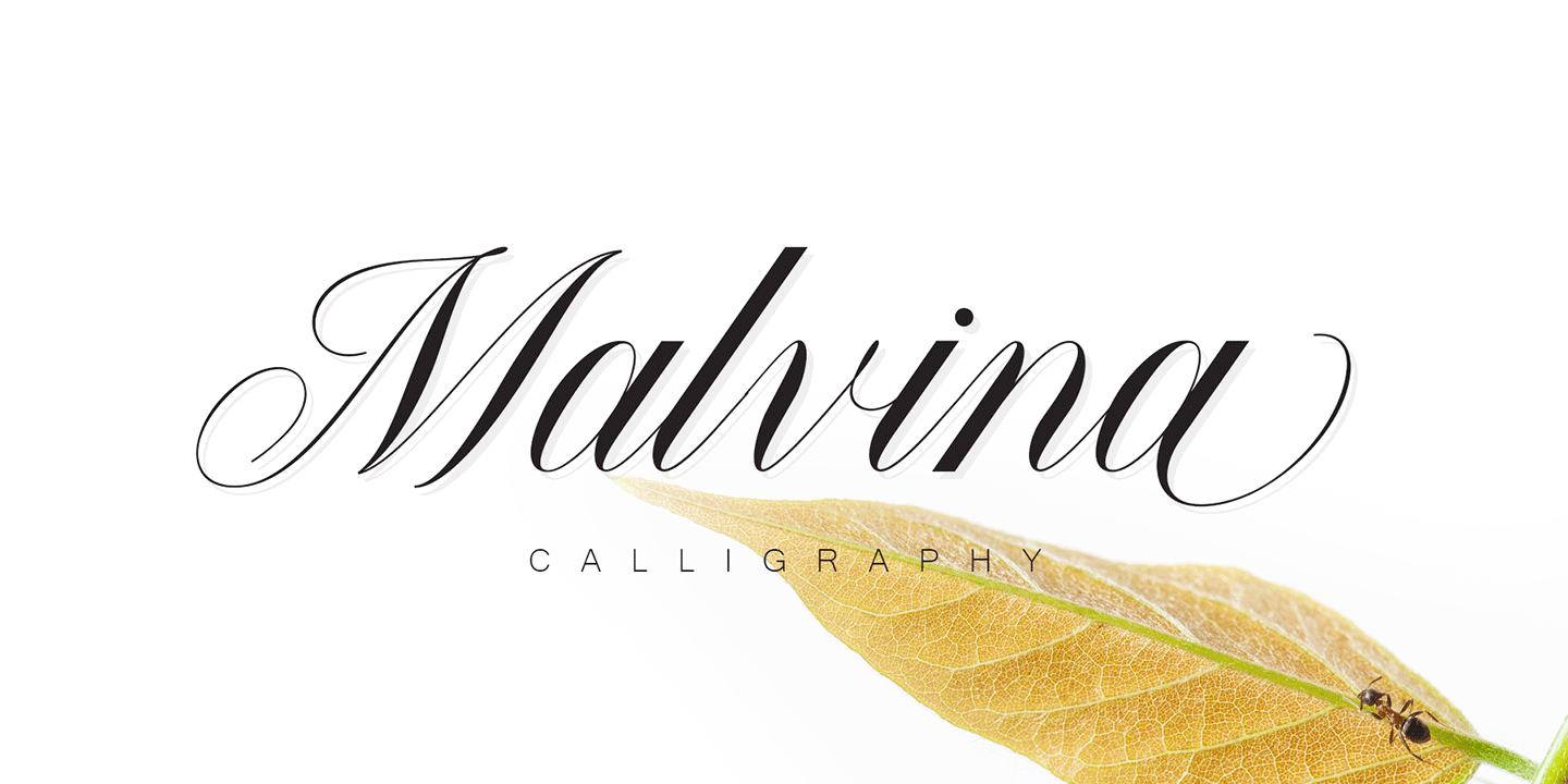 Malvina Font Poster #3