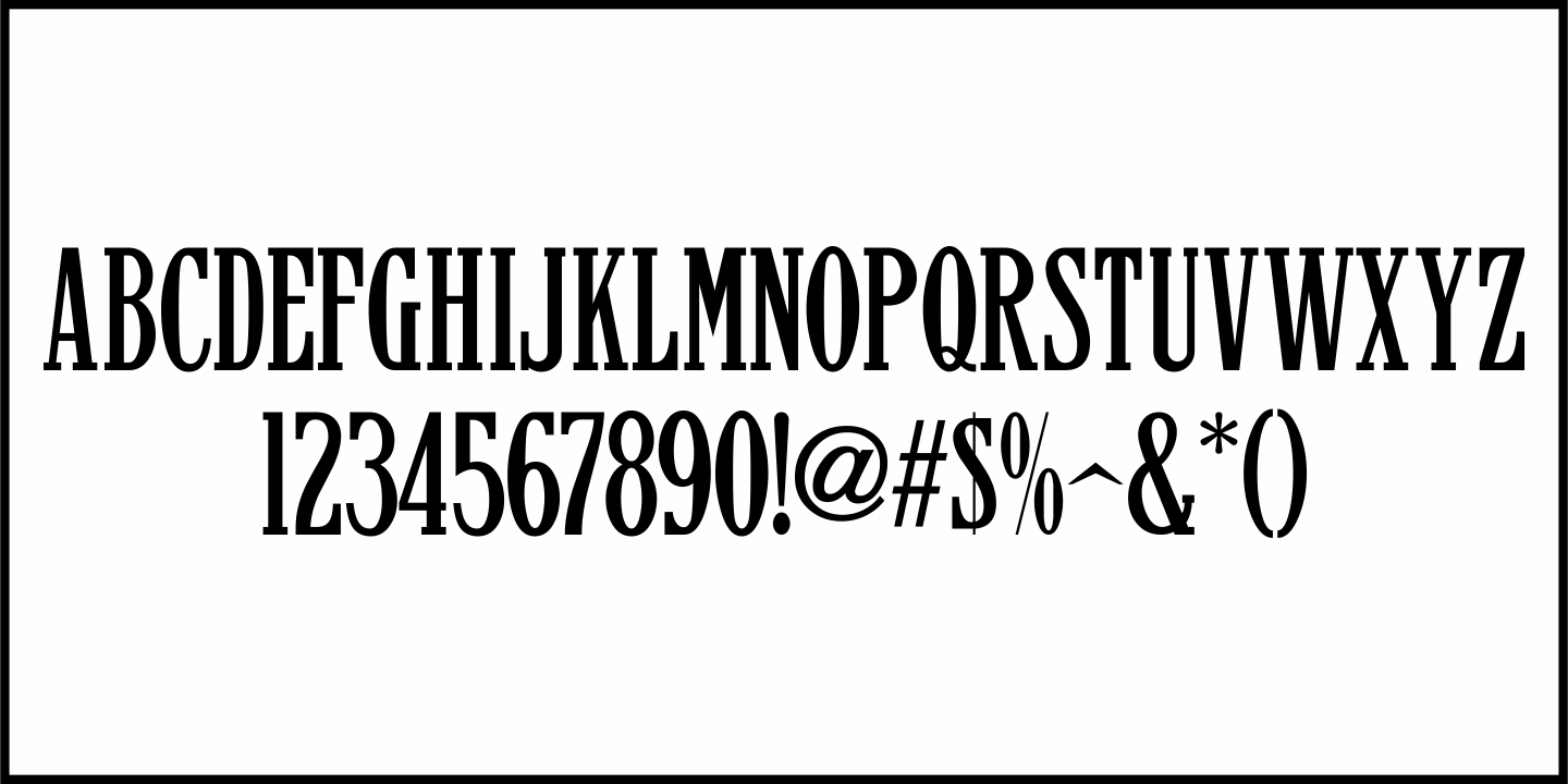 Newspaper Publisher Font Poster #1