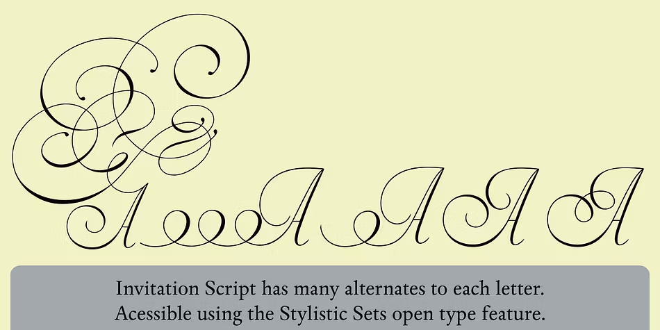 Invitation Script Font Family Poster
