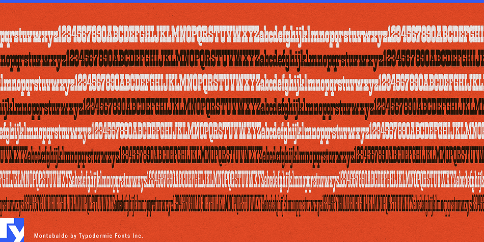 Montebaldo Font Poster #1