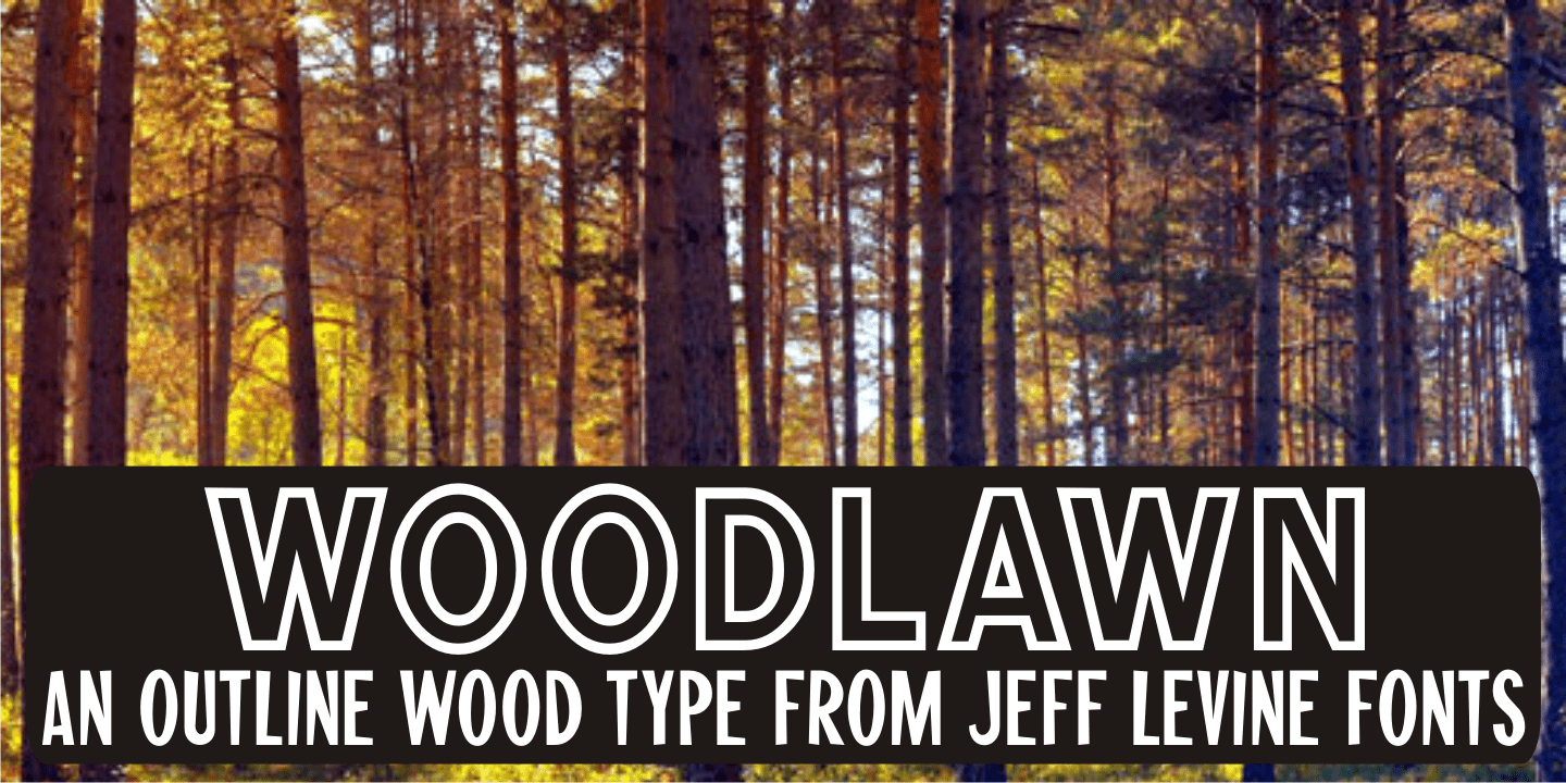 Woodlawn Font Poster #1