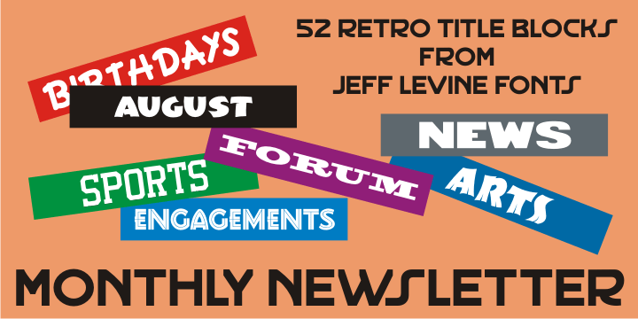 Monthly Newsletter Font Poster #1