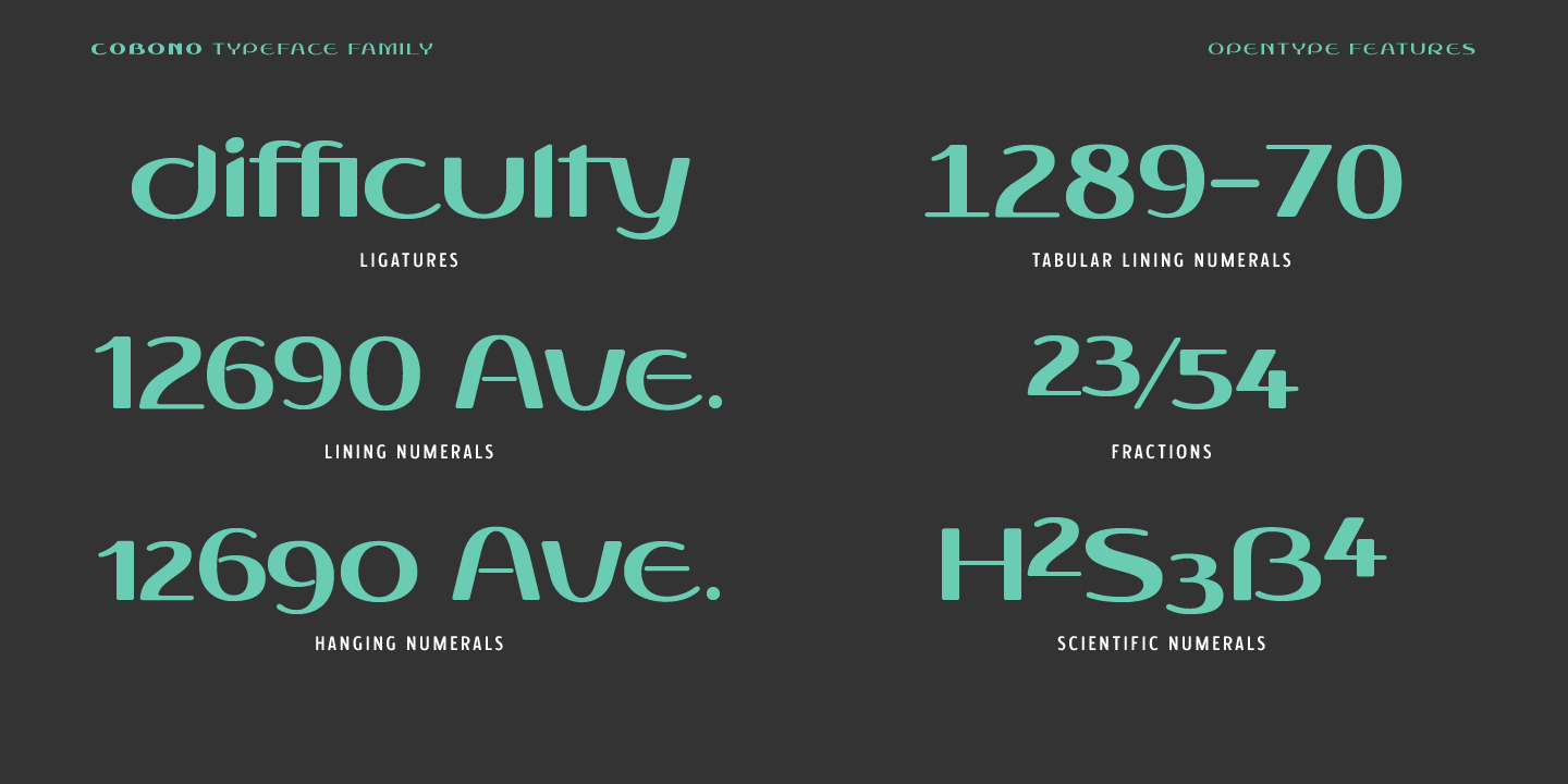 Cobono Font Poster #11