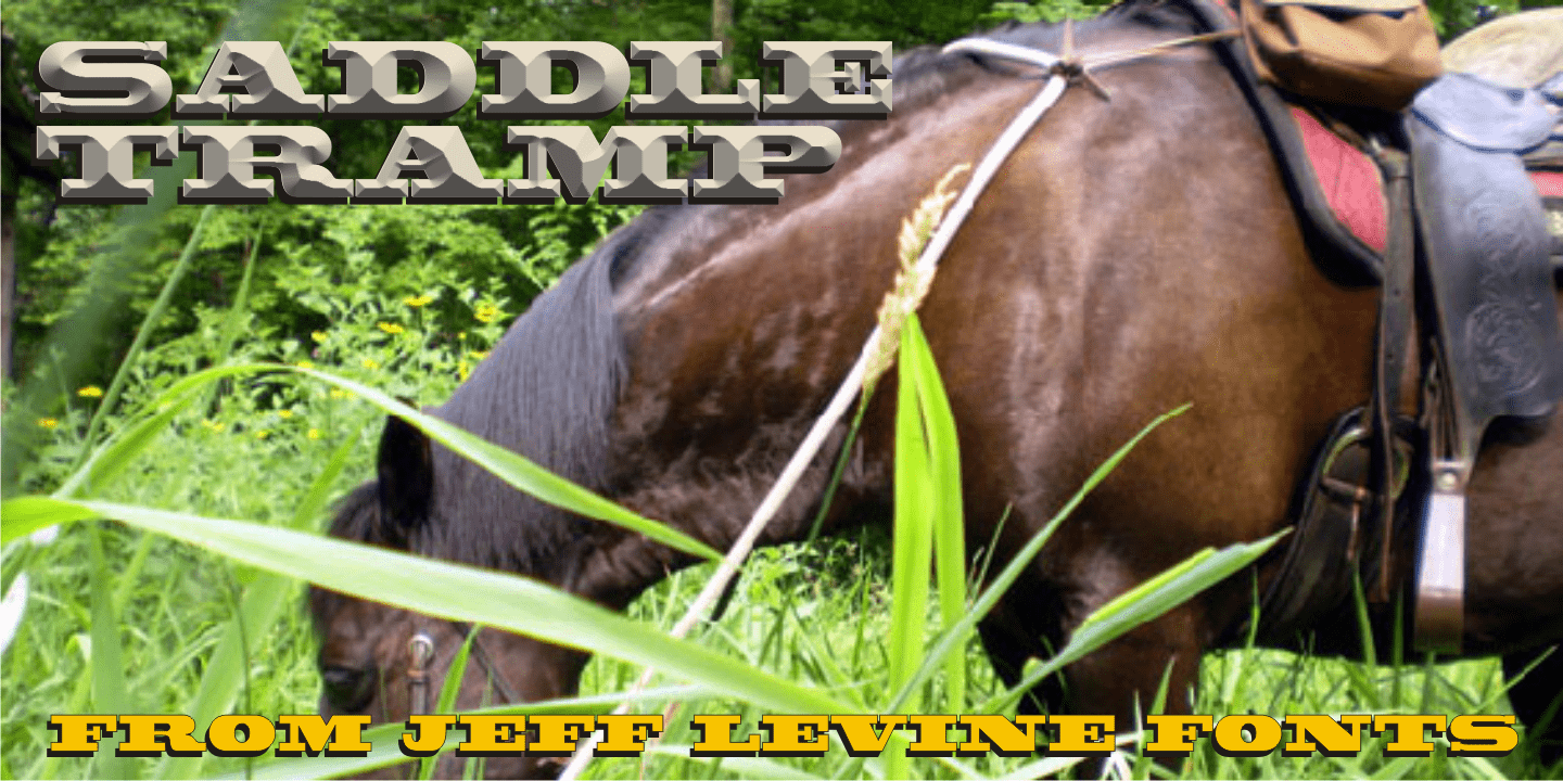 Saddle Tramp Font Family Poster