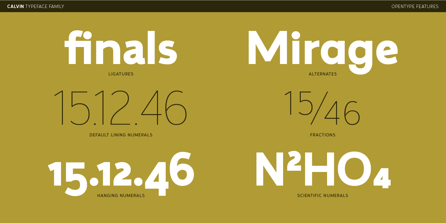 Calvin Font Poster #10