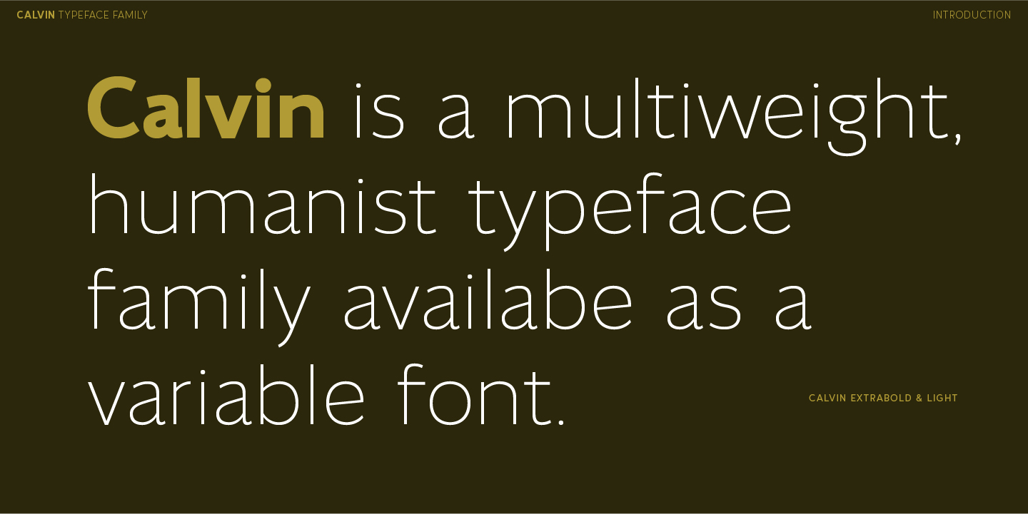 Calvin Font Poster #2