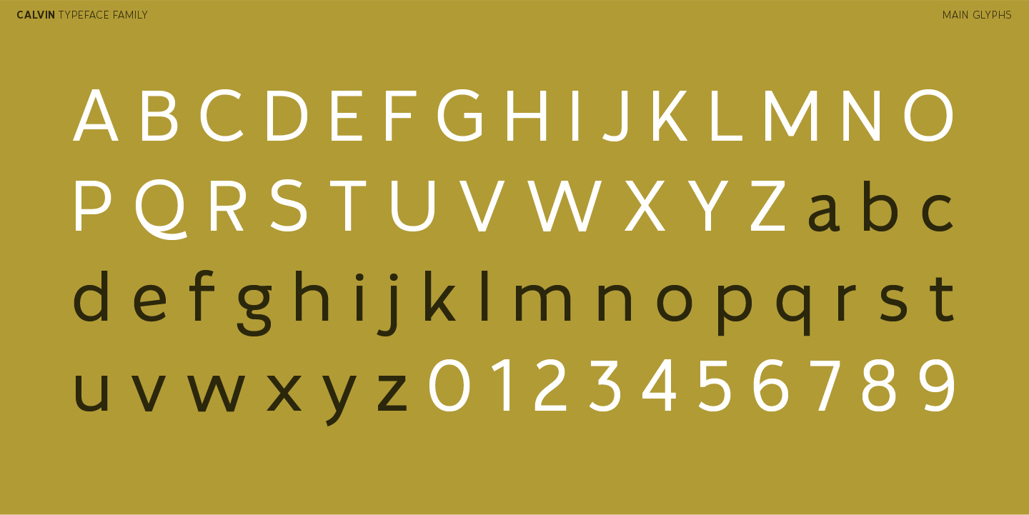 Calvin Font Poster #3