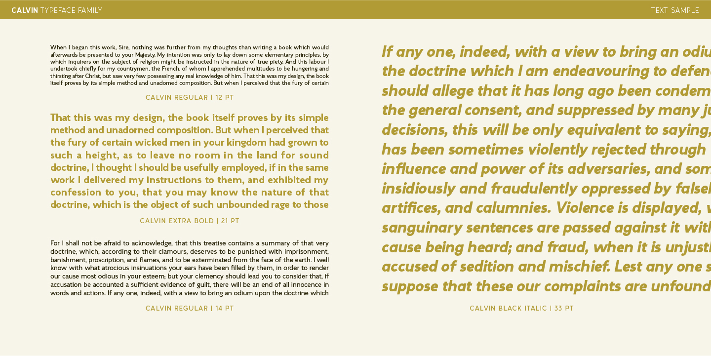 Calvin Font Poster #6