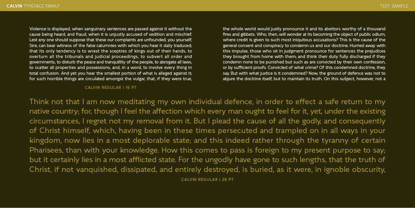 Calvin Font Poster #7