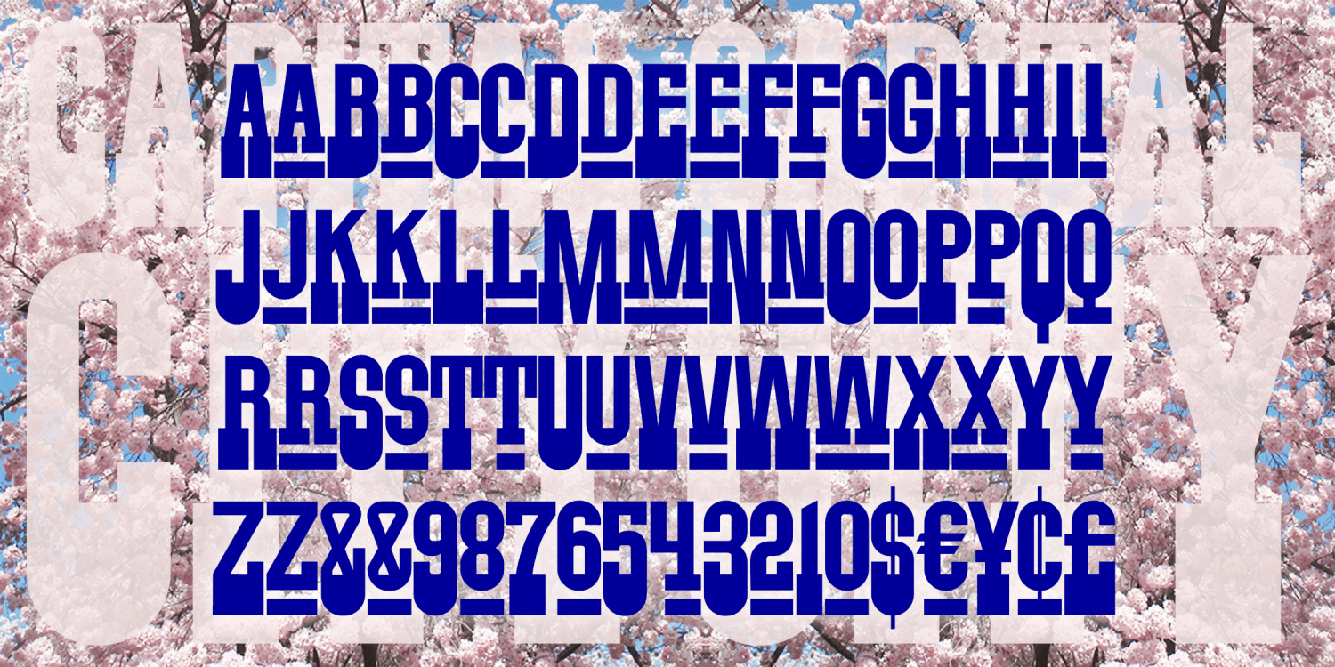 Capital City Font Family Poster