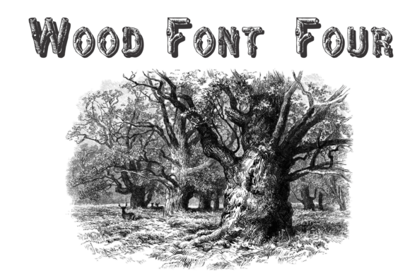 Wood Font Four Font Poster #3