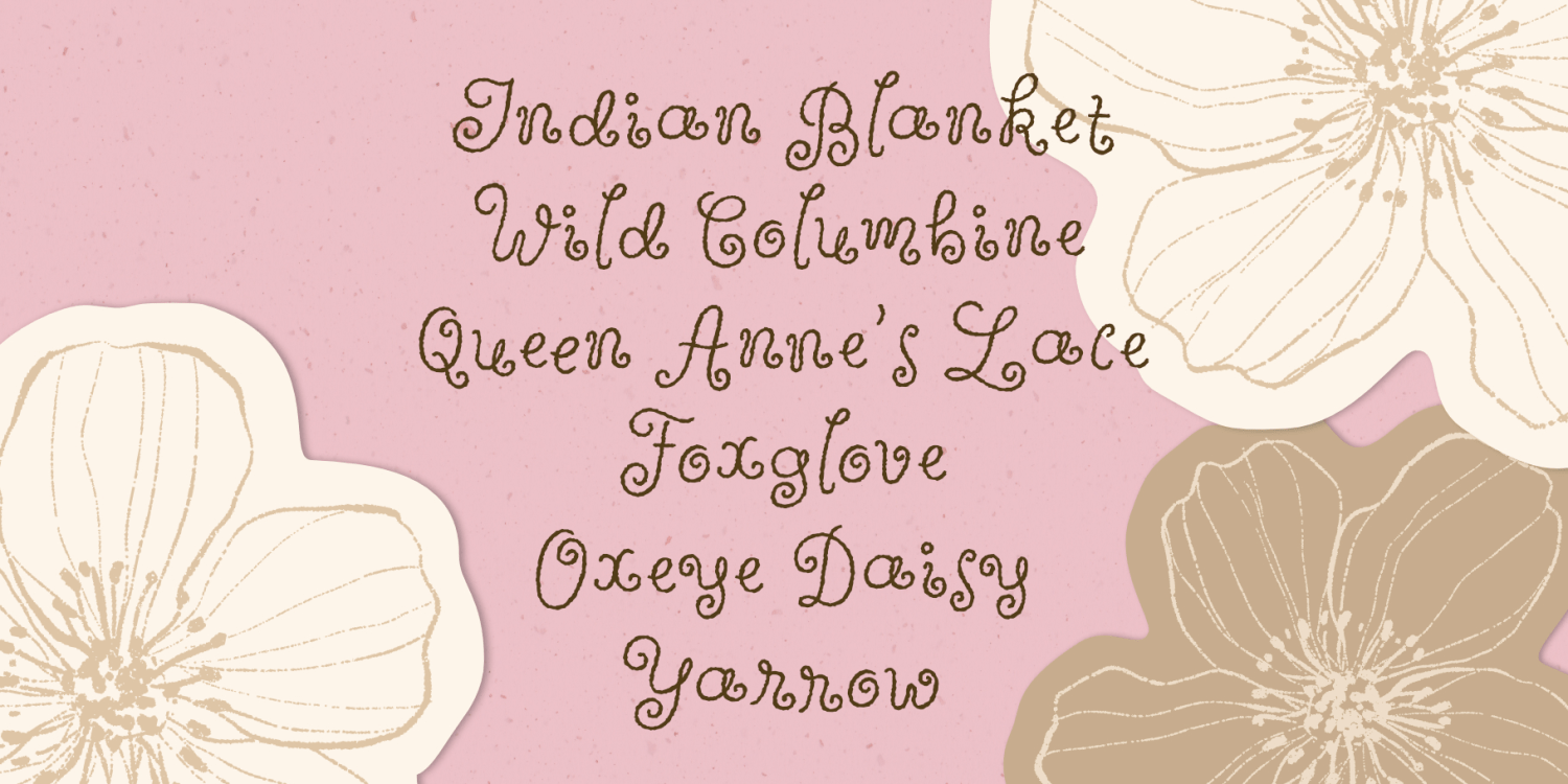 Wildflower Garden Font Poster #1
