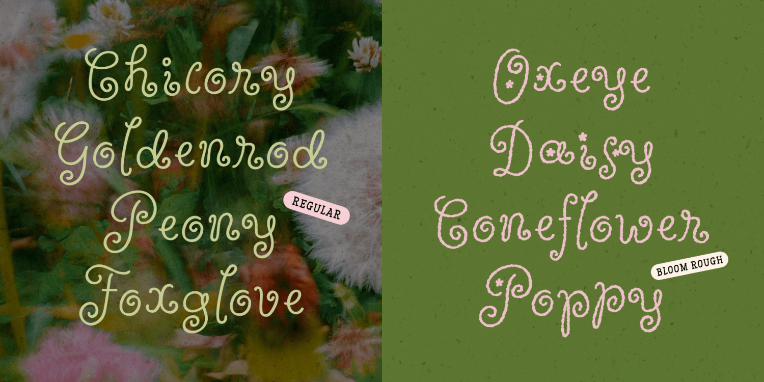 Wildflower Garden Font Poster #1