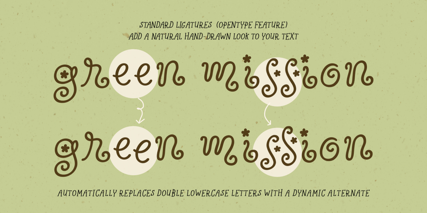 Wildflower Garden Font Poster #1